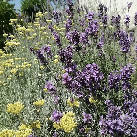 Hrestak Апартаменти *