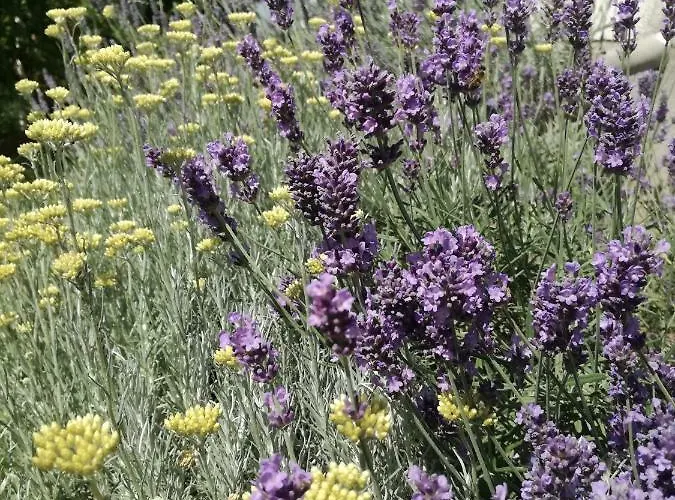 Hrestak Апартаменти *